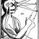 Imagen: Diagrama de Descartes. Wikimedia Commons
